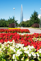 Similar image 21823853