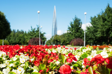 Similar image 21823855