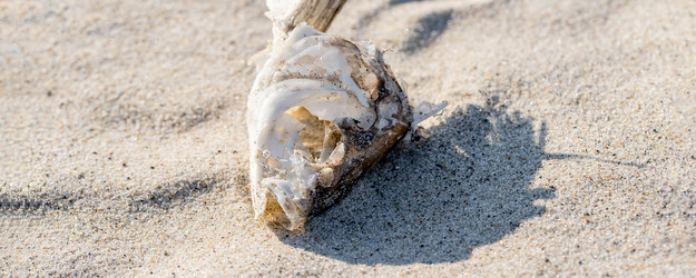 Similar image 21823371