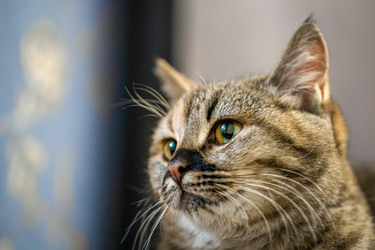 Similar image 21823372