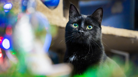 Similar image 21823374