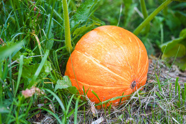 Similar image 21823378