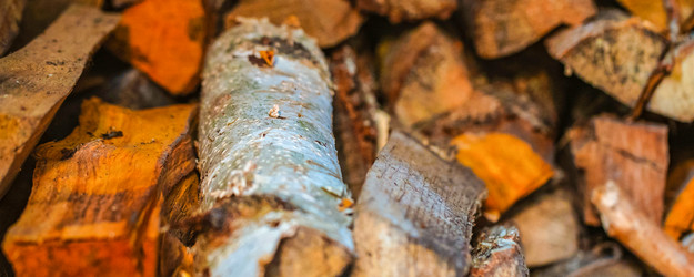 Similar image 21823379