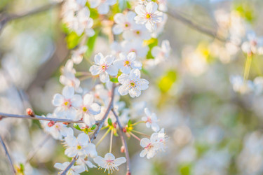 Similar image 21823380