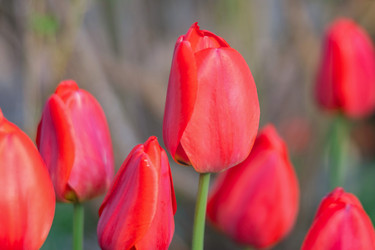 Similar image 21823381