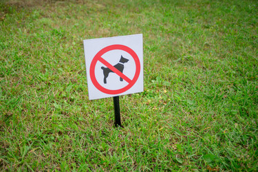 Similar image 21823383