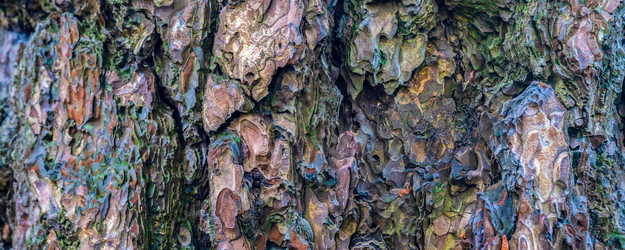 Similar image 21823384