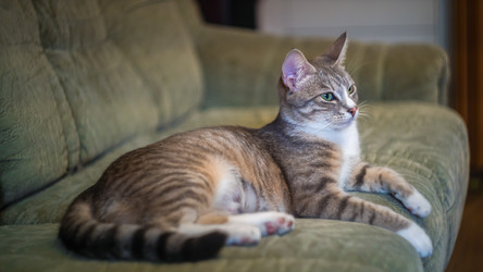 Similar image 21823386