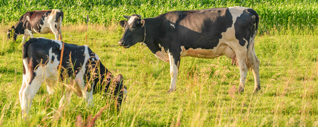 Similar image 21823388