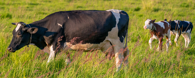 Similar image 21823390