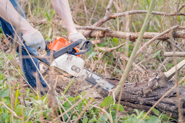 Similar image 21823391