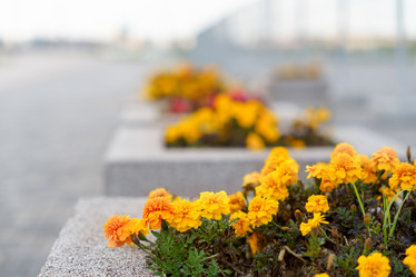 Similar image 21823402