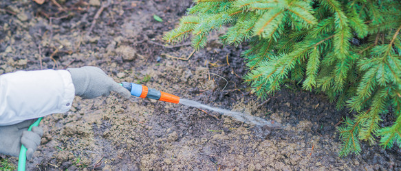 Similar image 21823406