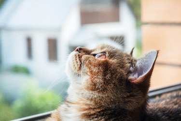 Similar image 21824009