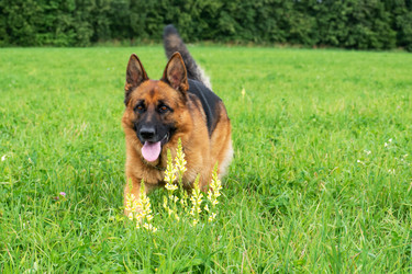 Similar image 21824011