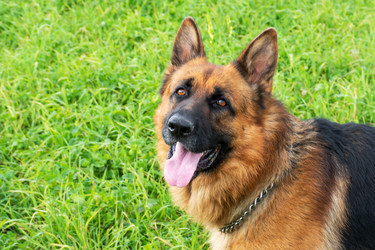 Similar image 21824012