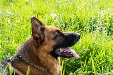 Similar image 21824014