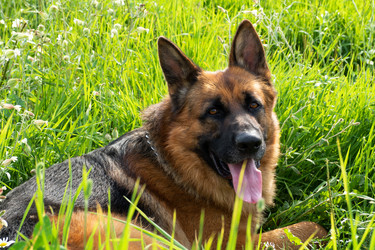 Similar image 21824015