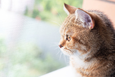 Similar image 21824016