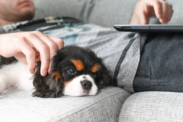 Similar image 21822521