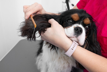 Similar image 21822523