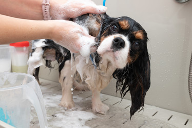 Similar image 21822524