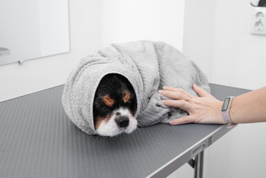 Similar image 21822527