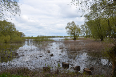 Similar image 21823792