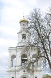 Similar image 21823830