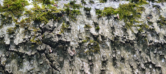 Similar image 21824048