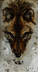 Similar image 21822432