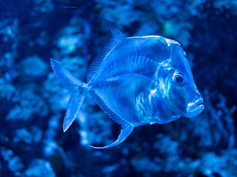 Similar image 21822406