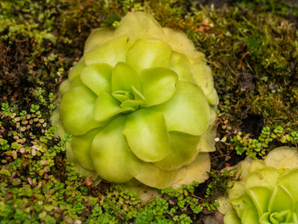 Similar image 21826192