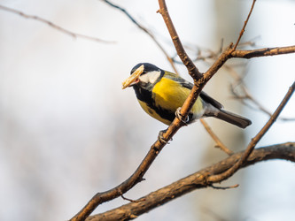 Similar image 21828135