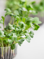 Similar image 21826193