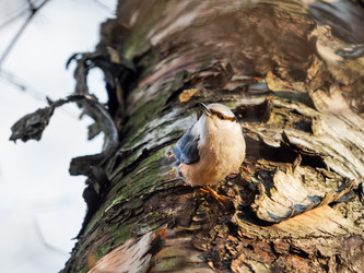 Similar image 21826194