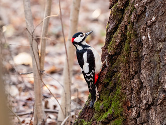 Similar image 21822407