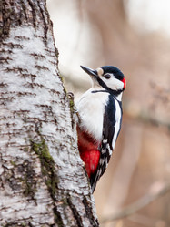 Similar image 21822408