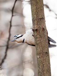 Similar image 21822411