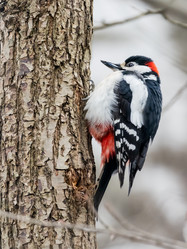 Similar image 21822412