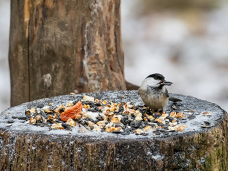 Similar image 21826195