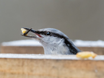 Similar image 21822413