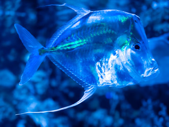 Similar image 21822414