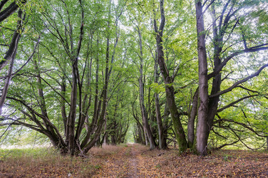 Similar image 21825483