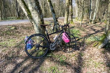 Similar image 21824050