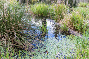 Similar image 21824051