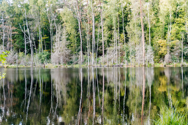 Similar image 21822692