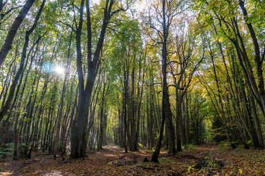 Similar image 21824056