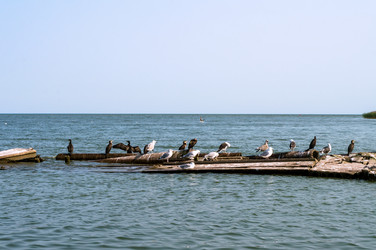 Similar image 21824057