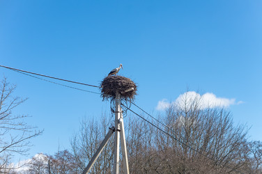 Similar image 21822701